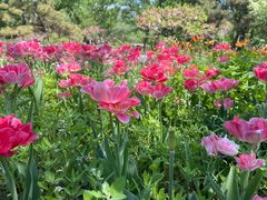 -北京植物园南门售票处