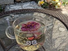 -喵屿·大理花园猫咖