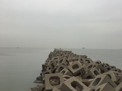 -东疆建设开发纪念公园