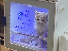 -PETKIT小佩宠物·低压洗护(国顺东路店)