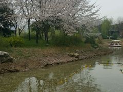 -堤角公园