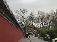 -姚记炒肝店(鼓楼店)