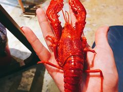 -日食记精菜馆(建邺万达店)