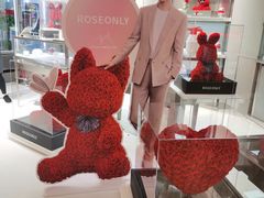 -ROSEONLY诺誓(广州K11店)