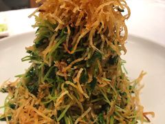 巧拌豆苗-四季民福烤鸭店(王府井灯市口店)