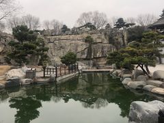 -中国唐苑