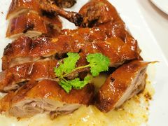 -柳州饭店·绿岛餐厅(友谊路店)