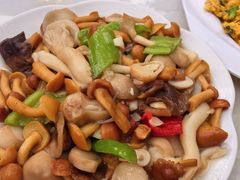 -洛阳白云山景区