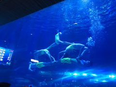 -华夏文旅海洋公园