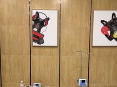 -瑞派名望志远动物医院·猫科·內科·异宠专科(直港大道店)