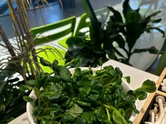 -烹然四季椰子鸡火锅(姚家园万象汇店)