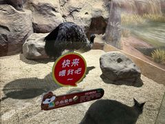 -台州海洋世界