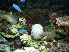 -北戴河圣蓝海洋公园