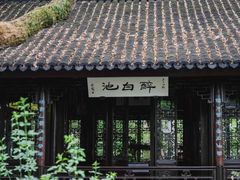 -上海醉白池公园
