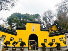 -鸡鸣赐茶(鸡鸣寺路店)