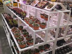 -KKV(天津津南吾悦广场店)