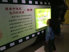 -上海昆虫博物馆