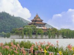 -顺峰山公园