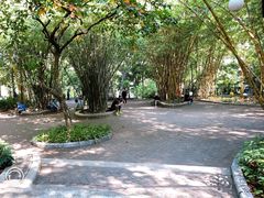 -晓港公园