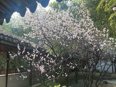 -江宁织造博物馆