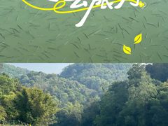 -中山市树木园