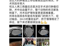 -泰洋动物医院·神经专科·磁共振·CT(天河公园总院)