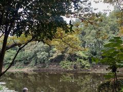 -灵谷景区