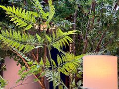 -狮王府淮扬菜(夫子庙老门东店)