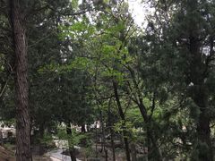 -阳台山自然风景区