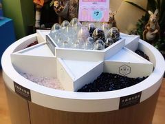 -Behring World of Animals(上海自然博物馆店)