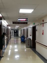 -复旦大学附属妇产科医院(杨浦院区)