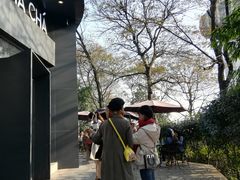 -MAMACHA妈妈茶(岳麓山店)