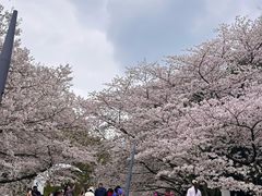 -杭州少年儿童公园