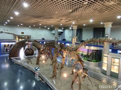 -国家自然博物馆