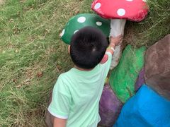 -前小桔亲子创意农场·草莓采摘·露营烧烤