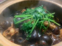 -食爺炭炉鸡煲·烧烤