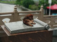 -大清国一号界碑