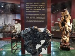 -烟台自然博物馆
