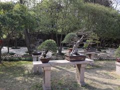 -苏州中心-停车场