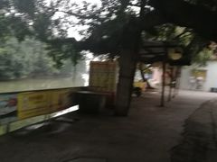 -小洲村
