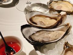 -Oyster Talks 四度蚝法餐厅