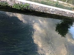 -十渡高山漂流