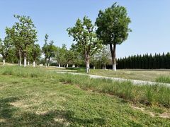 -汉长安城未央宫国家考古遗址公园