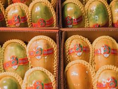 -海吉星国际农产品物流管理有限公司