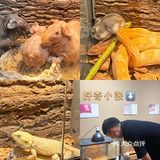 杭州探店｜打卡宝藏撸宠乐园！