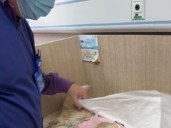 -北京观赏动物医院·24小时大型综合·猫专科·异宠专科