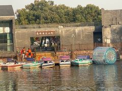 -上海滨江森林公园
