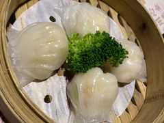 隆隆金虾饺皇-隆隆金大茶楼(地王广场店)