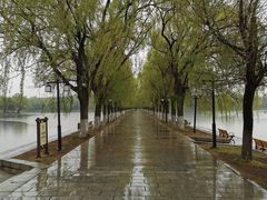 -北陵公园