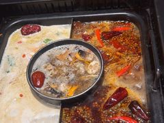 -老牌坊云南鱼豆花火锅(嵩山店)